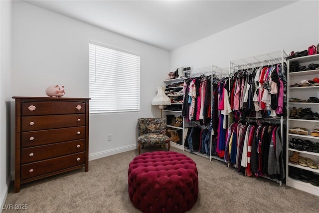 10863 Gardenova Ave, Las Vegas, NV 89166 - photo 21