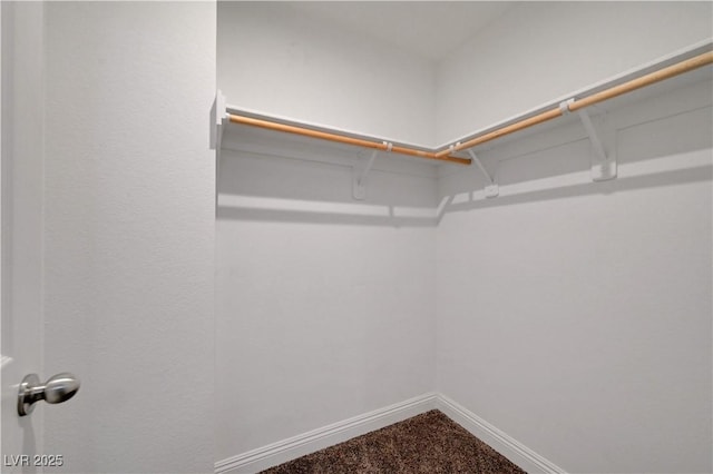 4641 Therapeutic St, North Las Vegas, NV 89031 - spacious closet featuring dark carpet