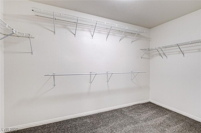 902 Cripple Creek Ct, Henderson, NV 89014 - photo 41