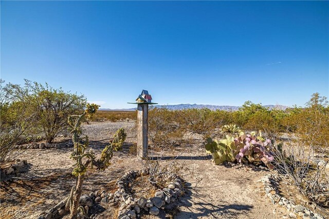 5950 Mojave St, Pahrump, NV 89061 - photo 41