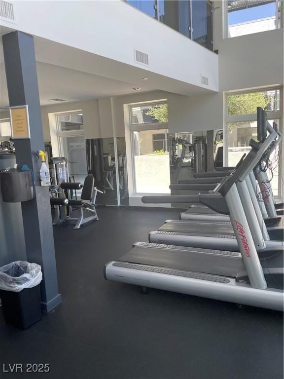 8925 W Flamingo Rd Unit 105, Las Vegas, NV 89147 - gym featuring plenty of natural light