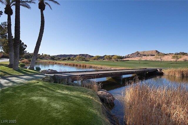 29 Costa Tropical Dr, Henderson, NV 89011 - photo 65