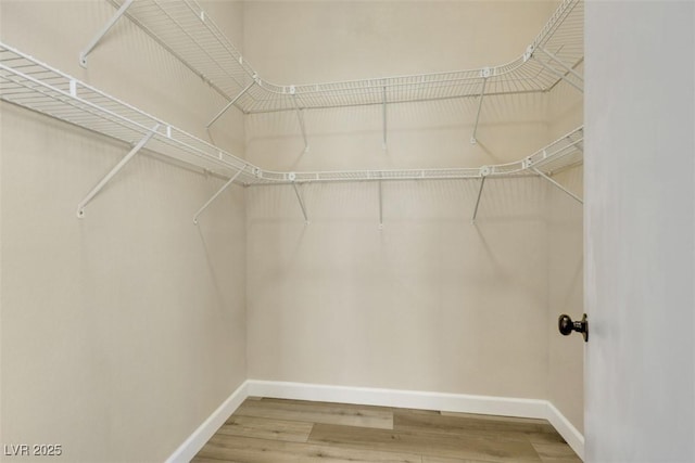 6035 Shadow Oak Dr, North Las Vegas, NV 89031 - walk in closet featuring wood finished floors