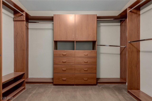 1054 Broomfield Dr, Henderson, NV 89074 - walk in closet with light carpet