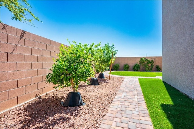 7990 Formitch Ct, Las Vegas, NV 89166 - view of fenced backyard