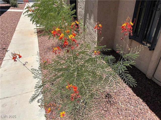 1866 Camino Verde Ln, Las Vegas, NV 89119 - view of yard