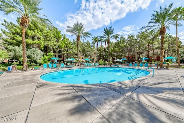 230 E Flamingo Rd Unit 229, Las Vegas, NV 89169 - community pool featuring a patio area and view of scattered trees