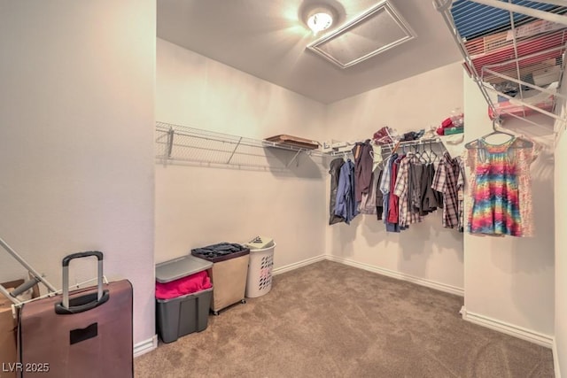 4016 Gaster Ave, North Las Vegas, NV 89081 - walk in closet featuring attic access and carpet floors