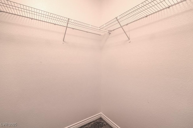 4016 Gaster Ave, North Las Vegas, NV 89081 - view of spacious closet
