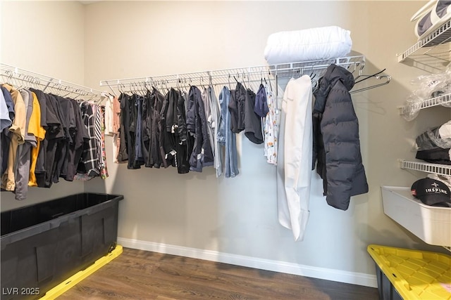 10711 Silver Pond Ave, Las Vegas, NV 89135 - spacious closet with wood finished floors