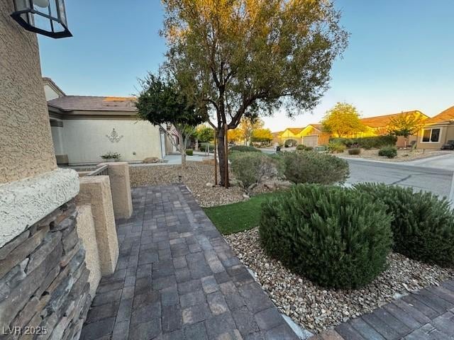 2704 Willow Wren Dr, North Las Vegas, NV 89084 - view of yard
