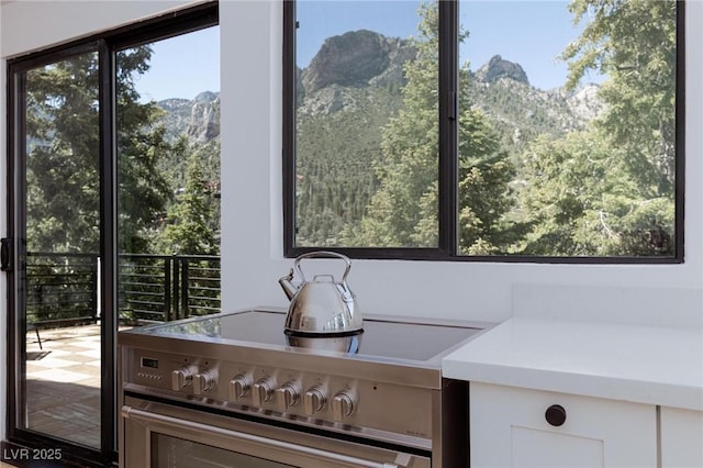 4778 Knotty Pine Way, Las Vegas, NV 89124 - detailed view of stainless steel stove and a mountain backdrop