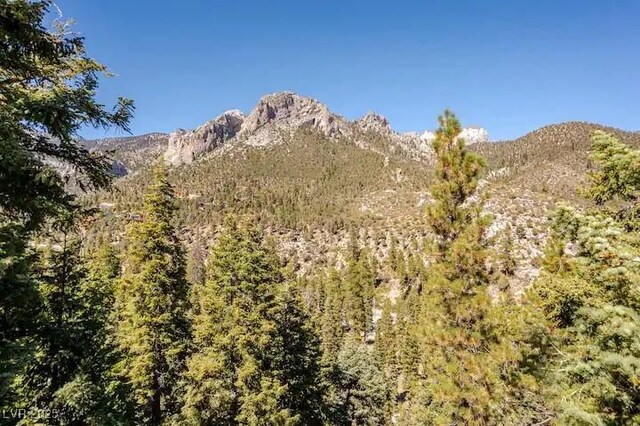 4778 Knotty Pine Way, Las Vegas, NV 89124 - view of mountain backdrop with a heavily wooded area
