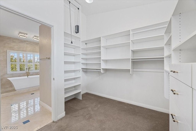 8970 Lansberry Ct, Las Vegas, NV 89147 - spacious closet featuring carpet floors