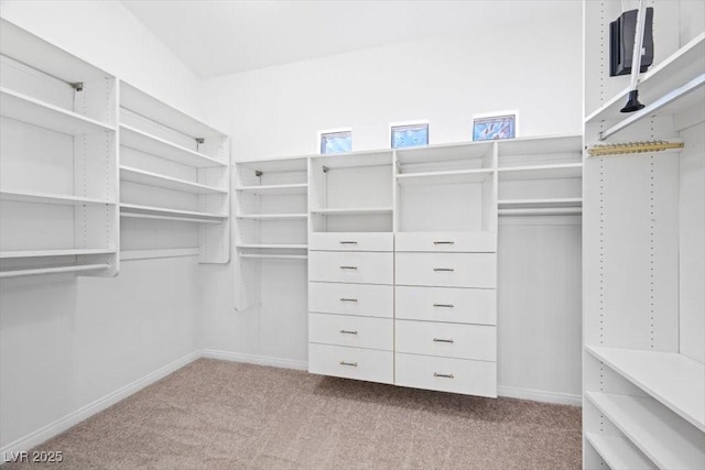 8970 Lansberry Ct, Las Vegas, NV 89147 - spacious closet with carpet