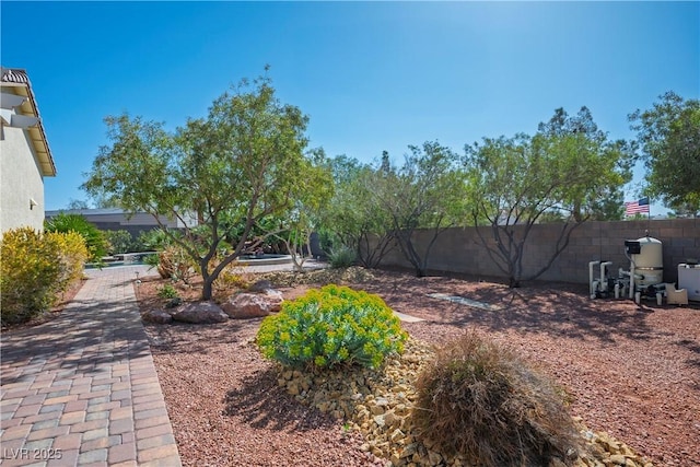 8604 Amber Autumn St, Las Vegas, NV 89131 - view of yard