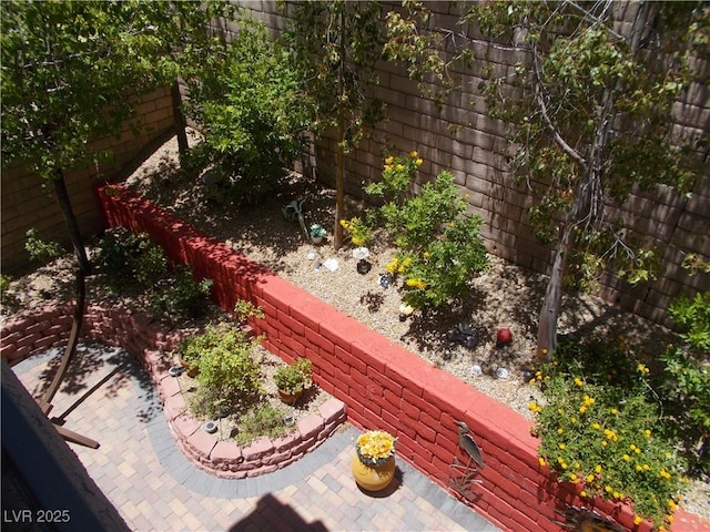 11832 Arenoso Dr, Las Vegas, NV 89138 - view of yard