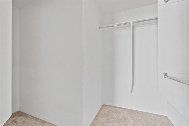 9175 Titan Hill Ct, Las Vegas, NV 89148 - walk in closet with carpet