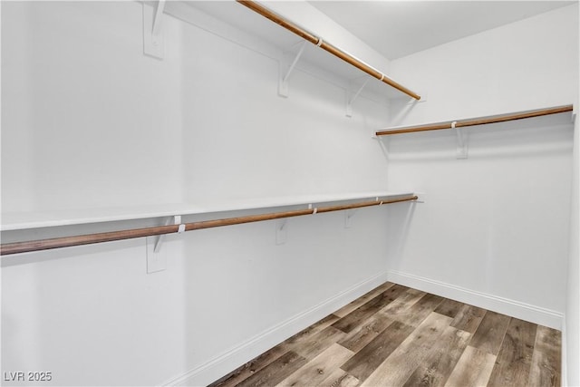 5425 Pride Mountain St, North Las Vegas, NV 89031 - walk in closet with wood finished floors