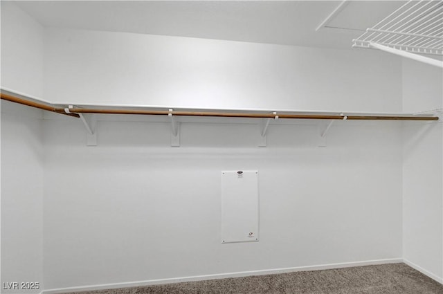 2431 Lilac Cove St, Las Vegas, NV 89135 - spacious closet featuring carpet floors