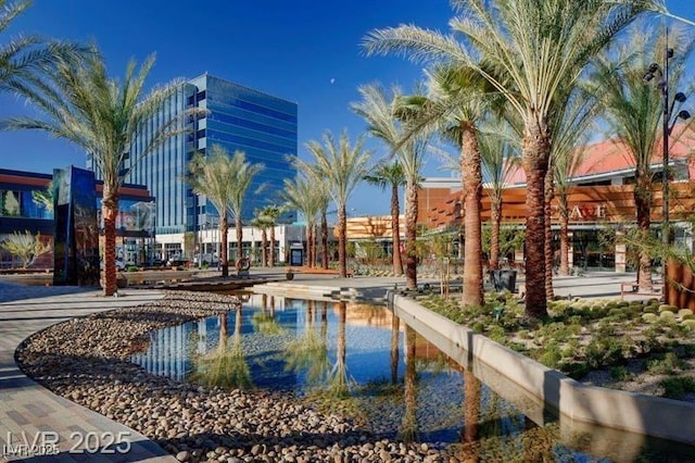 2431 Lilac Cove St, Las Vegas, NV 89135 - view of swimming pool