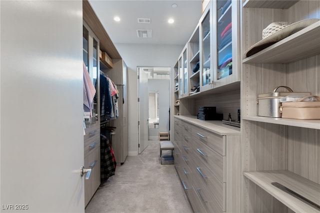 671 Scenic Rim Dr, Henderson, NV 89012 - spacious closet featuring light carpet