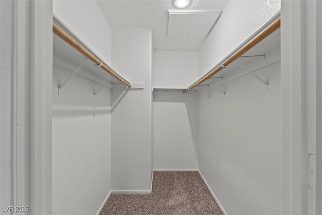 5042 S Rainbow Blvd Unit 206, Las Vegas, NV 89118 - walk in closet with carpet floors