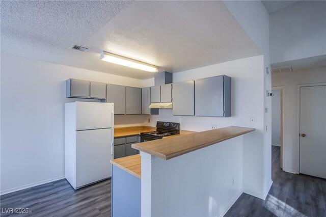 2696 Jennydiane Dr, Las Vegas, NV 89121 - kitchen with freestanding refrigerator, black / electric stove, gray cabinetry, under cabinet range hood, and a textured ceiling