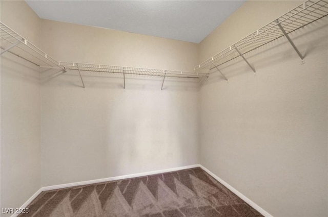 189 Paxon Hollow Ct, Las Vegas, NV 89148 - walk in closet with carpet flooring