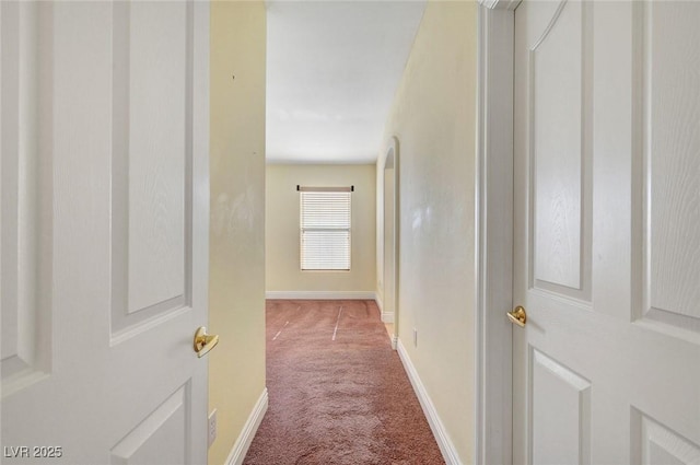 4841 Raw Umber Ct, Las Vegas, NV 89131 - hallway with carpet flooring and baseboards