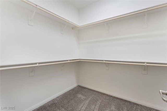 9850 Poplar Point Ave, Las Vegas, NV 89178 - spacious closet featuring carpet floors