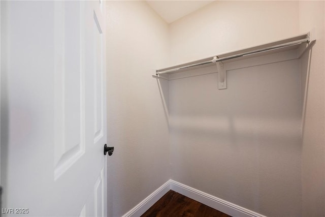 209 Camino Vista St, Henderson, NV 89012 - walk in closet with dark wood-style floors