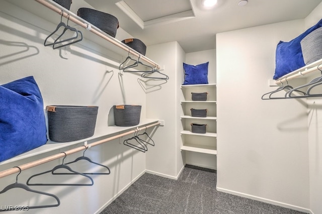 7965 Aurora Sky St Unit 623, North Las Vegas, NV 89084 - spacious closet with attic access and dark colored carpet