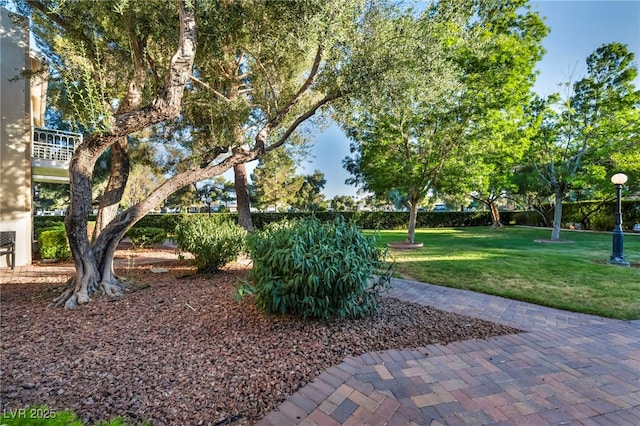 882 Tam O Shanter, Las Vegas, NV 89109 - view of property's community with a lawn