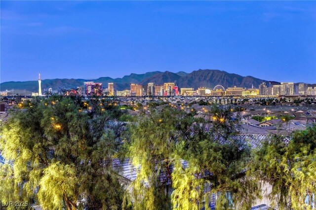 6570 Aurora View St, Las Vegas, NV 89135 - photo 70