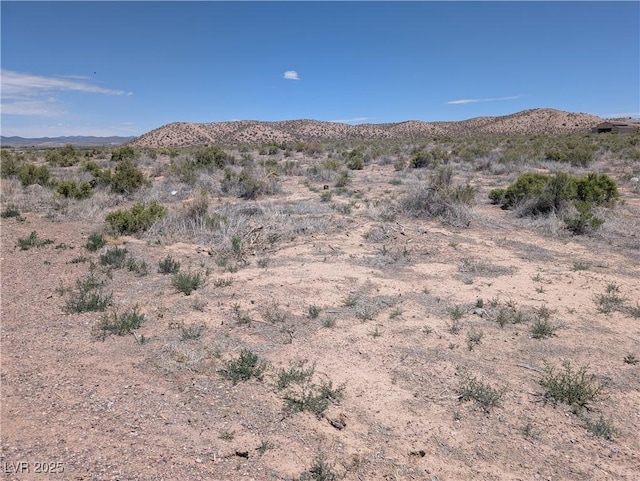 Sunrise Dr, Caliente, NV 89008 - photo 19