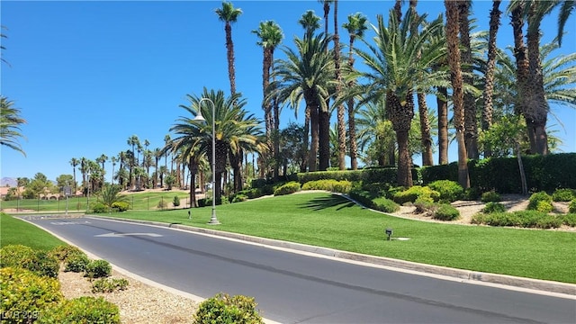 145 Forest Crossing Ct, Las Vegas, NV 89148 - view of asphalt road with curbs