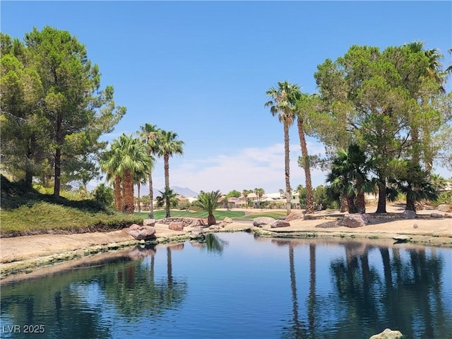 145 Forest Crossing Ct, Las Vegas, NV 89148 - water view