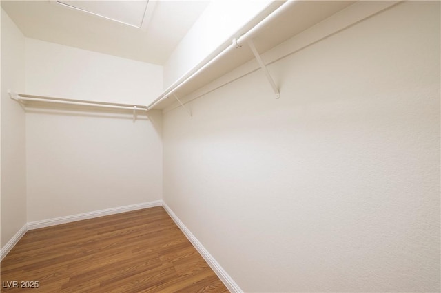 3972 Tirana Way, Las Vegas, NV 89103 - walk in closet with wood finished floors