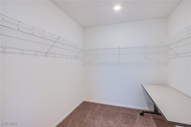 10435 Rose Palisade St, Las Vegas, NV 89141 - spacious closet with carpet