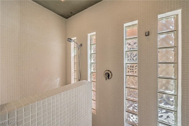 2017 Slow Wind St, Las Vegas, NV 89134 - bathroom with a walk in shower