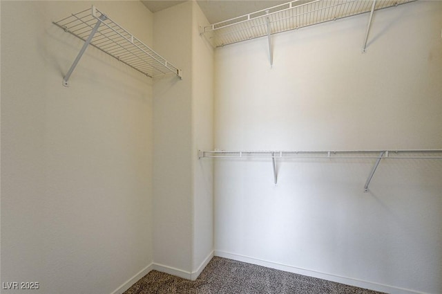 6160 Rumrill St Unit 202, Las Vegas, NV 89113 - walk in closet with carpet flooring