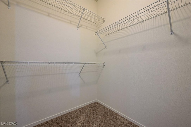 6160 Rumrill St Unit 202, Las Vegas, NV 89113 - walk in closet featuring carpet