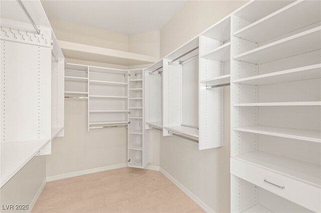 10548 Findlay Ave, Las Vegas, NV 89134 - view of spacious closet