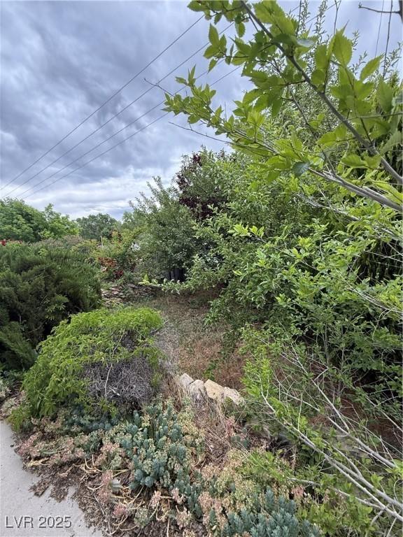 1104 High St, Ely, NV 89301 - view of undeveloped land