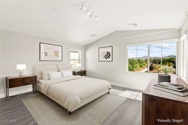 3058 Casarano Ct, Henderson, NV 89044 - bedroom with rail lighting, light wood-style floors, and vaulted ceiling