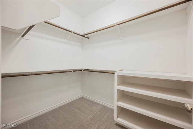 12426 Mosticone Way, Las Vegas, NV 89141 - spacious closet with light colored carpet