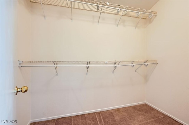 8212 Cactus Root Ct, Las Vegas, NV 89129 - photo 33