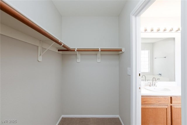 700 Red Bark Ln, Henderson, NV 89011 - spacious closet with a sink and carpet