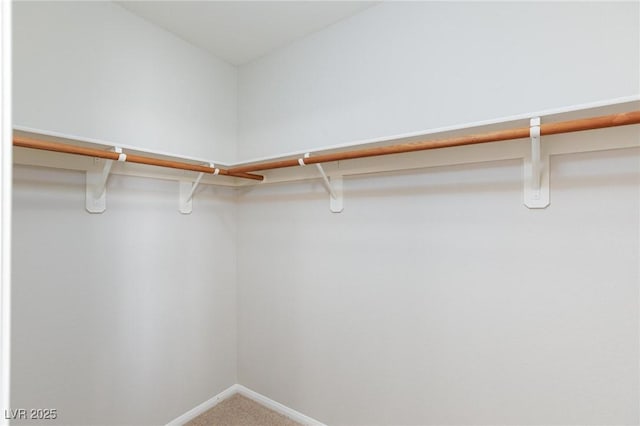 700 Red Bark Ln, Henderson, NV 89011 - walk in closet featuring carpet